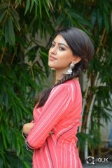 Anu Emmanuel At Majnu Movie Success Meet